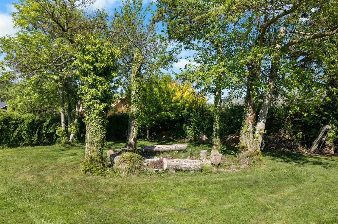 foto18