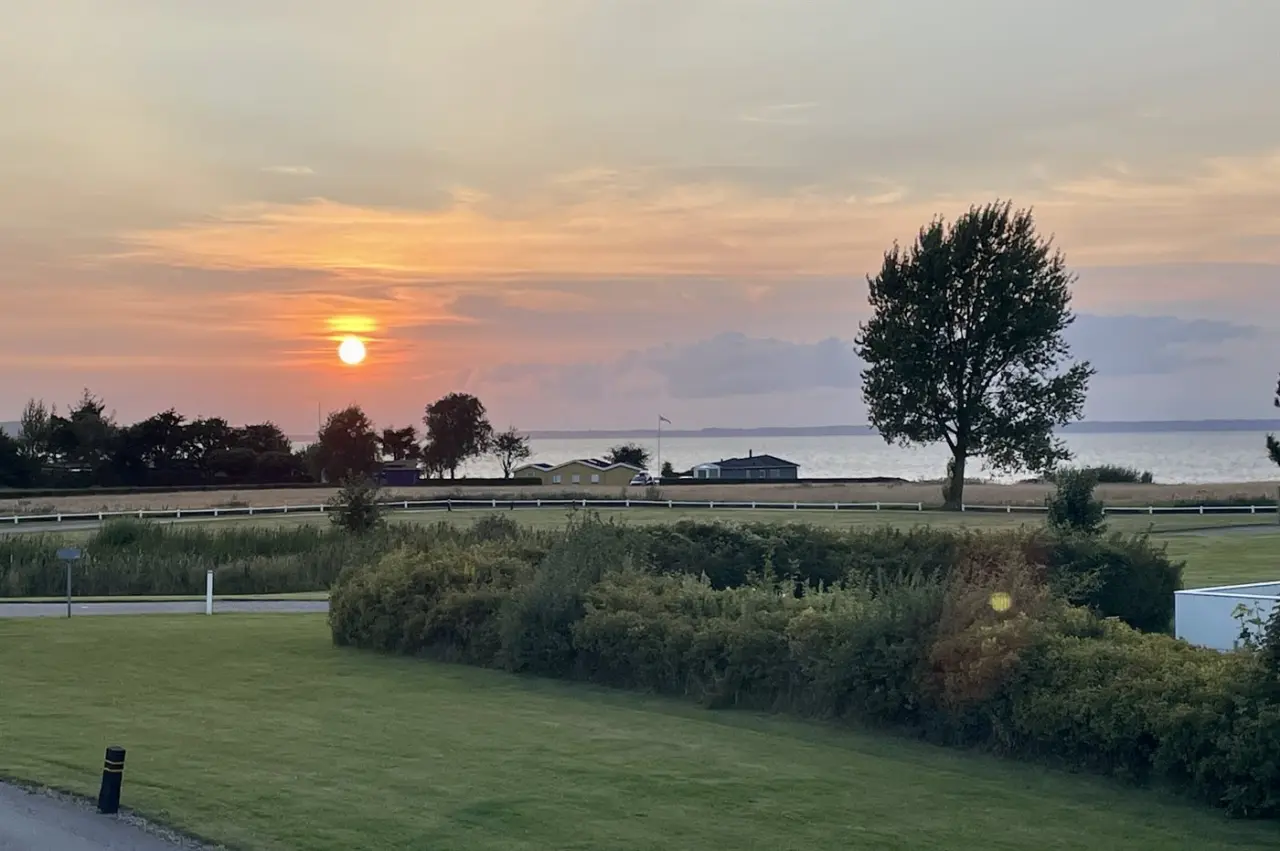 foto25