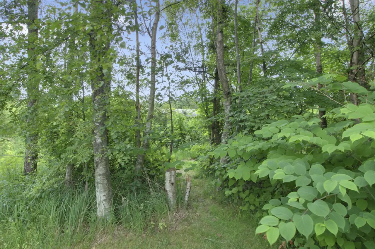 foto11