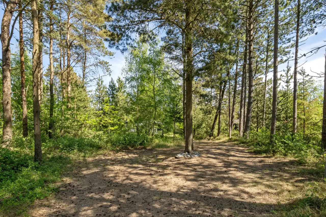 foto17