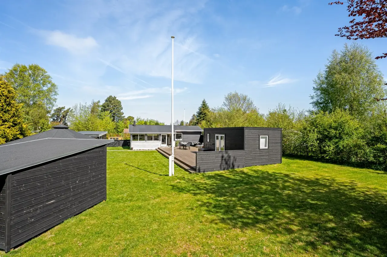 foto1