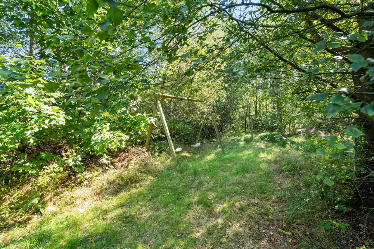 foto17