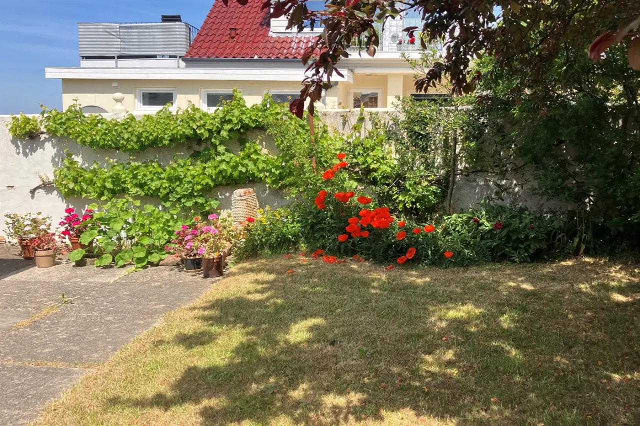 foto24