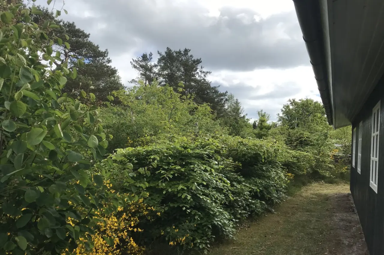 foto28