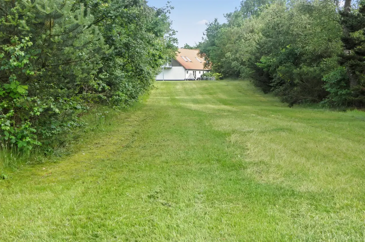 foto23