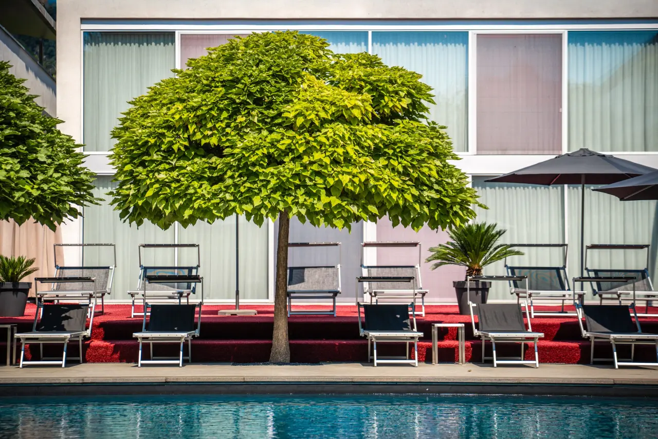 56 M² Apartment ∙ 1 Bedroom ∙ 3 Guests - Lana