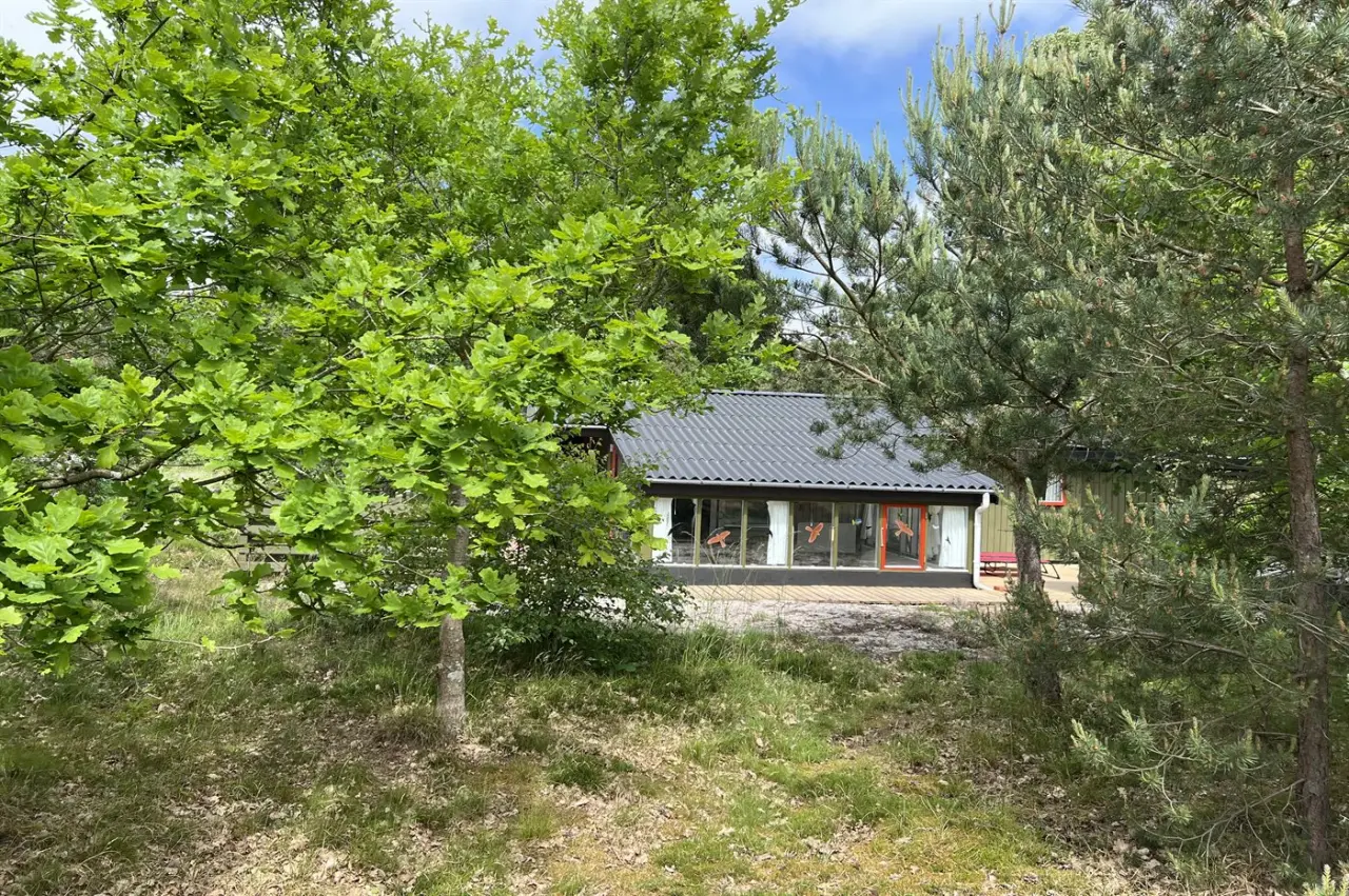 foto1