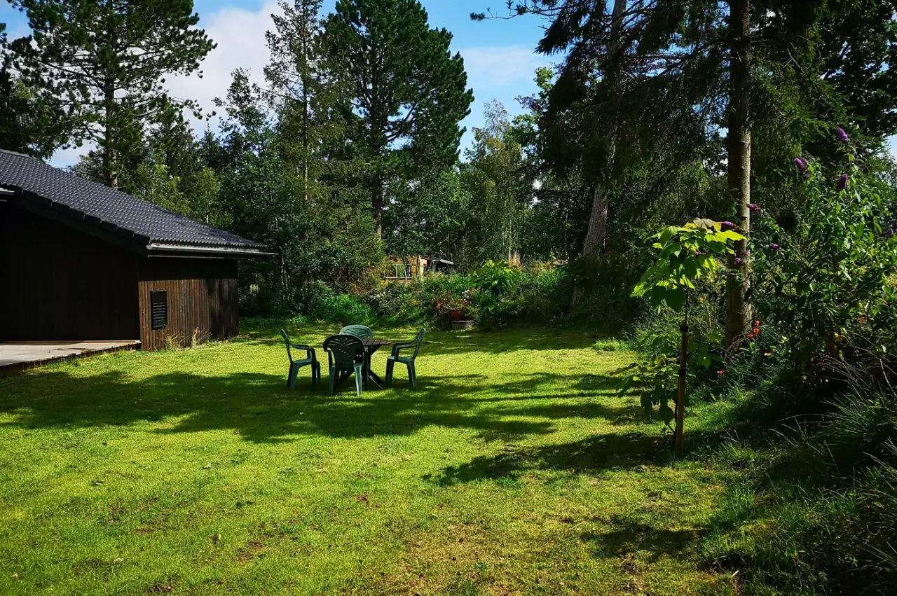 foto26