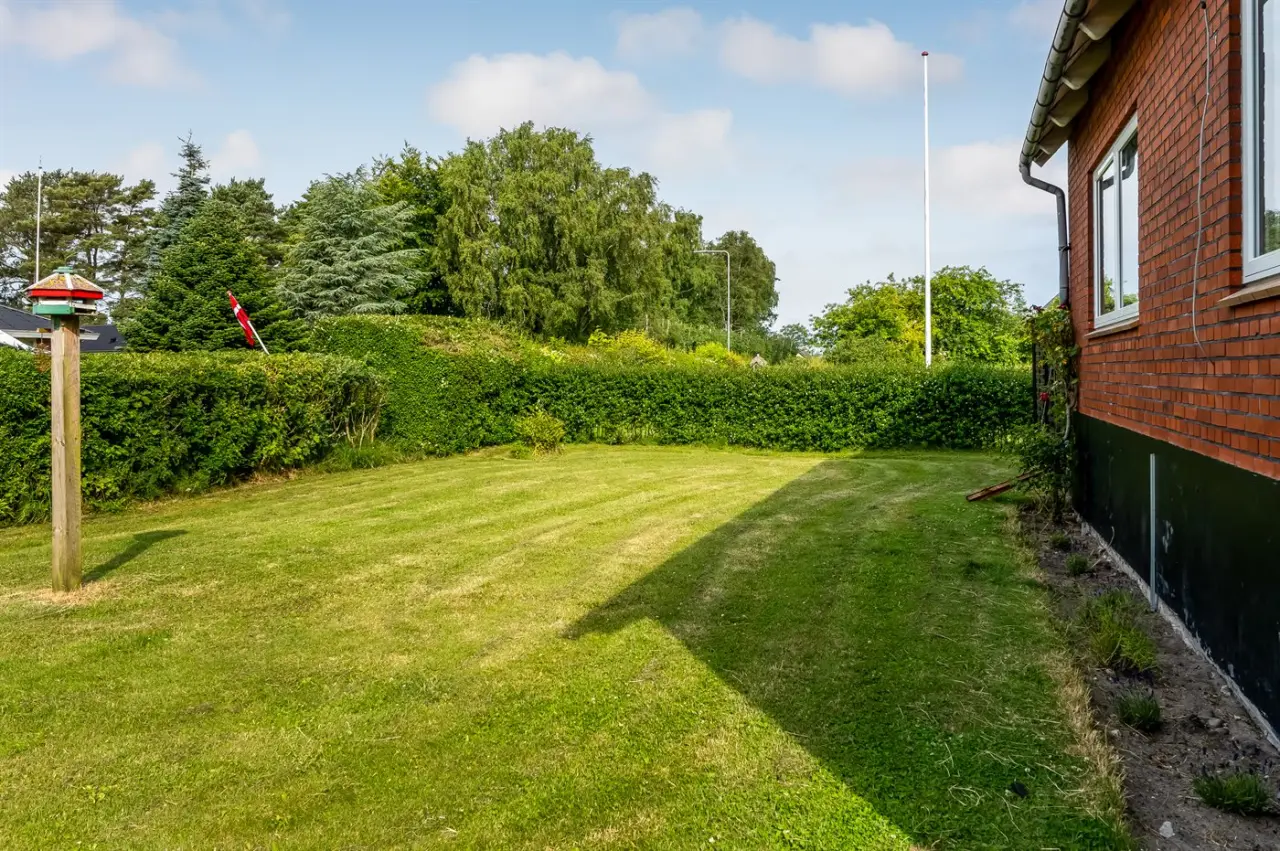 foto20