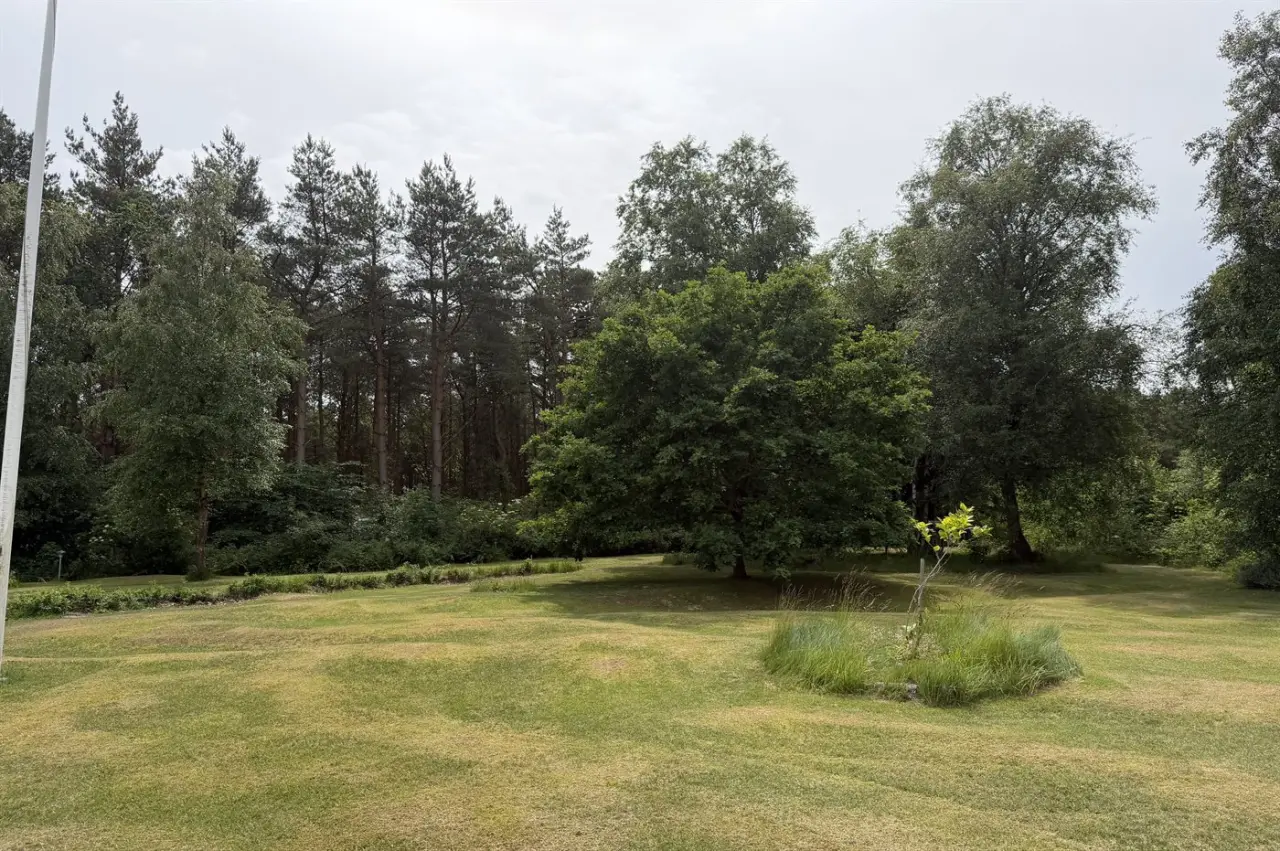 foto1
