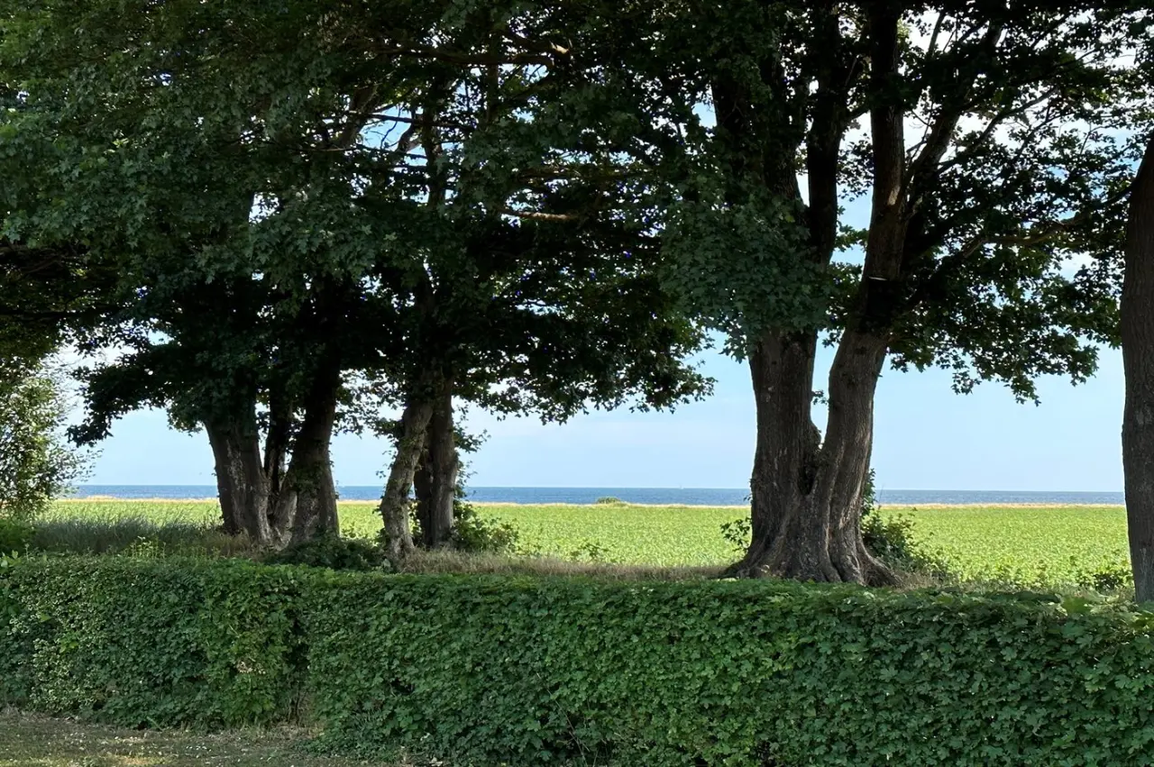 foto16