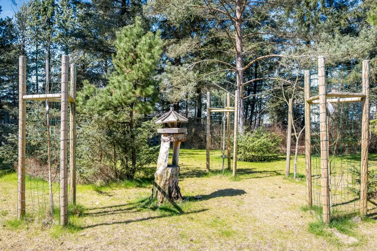 foto37