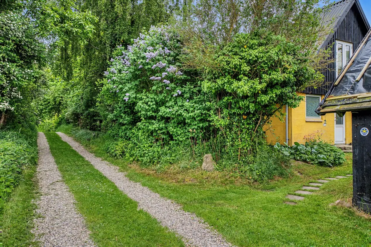 foto22
