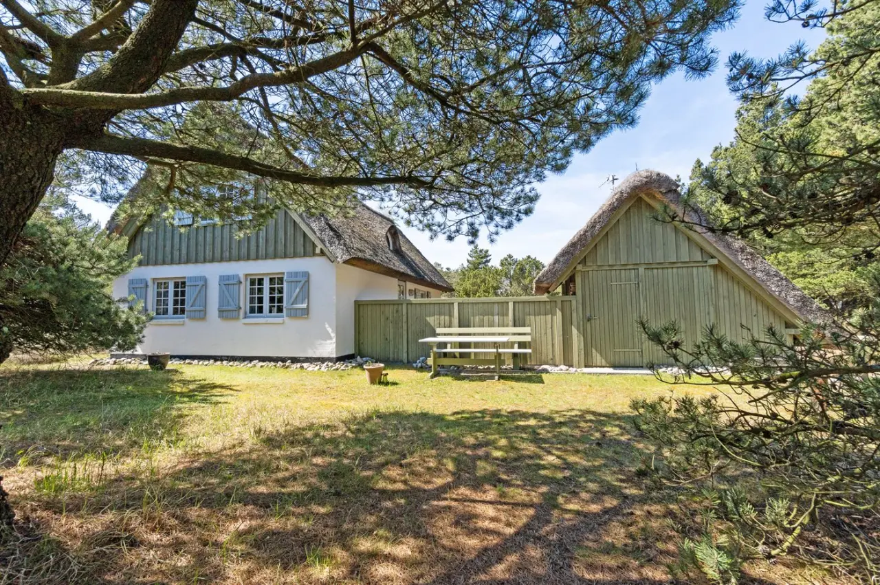foto1