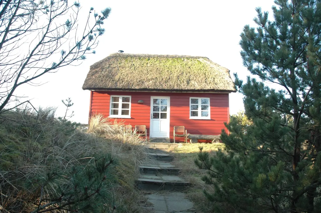 foto2