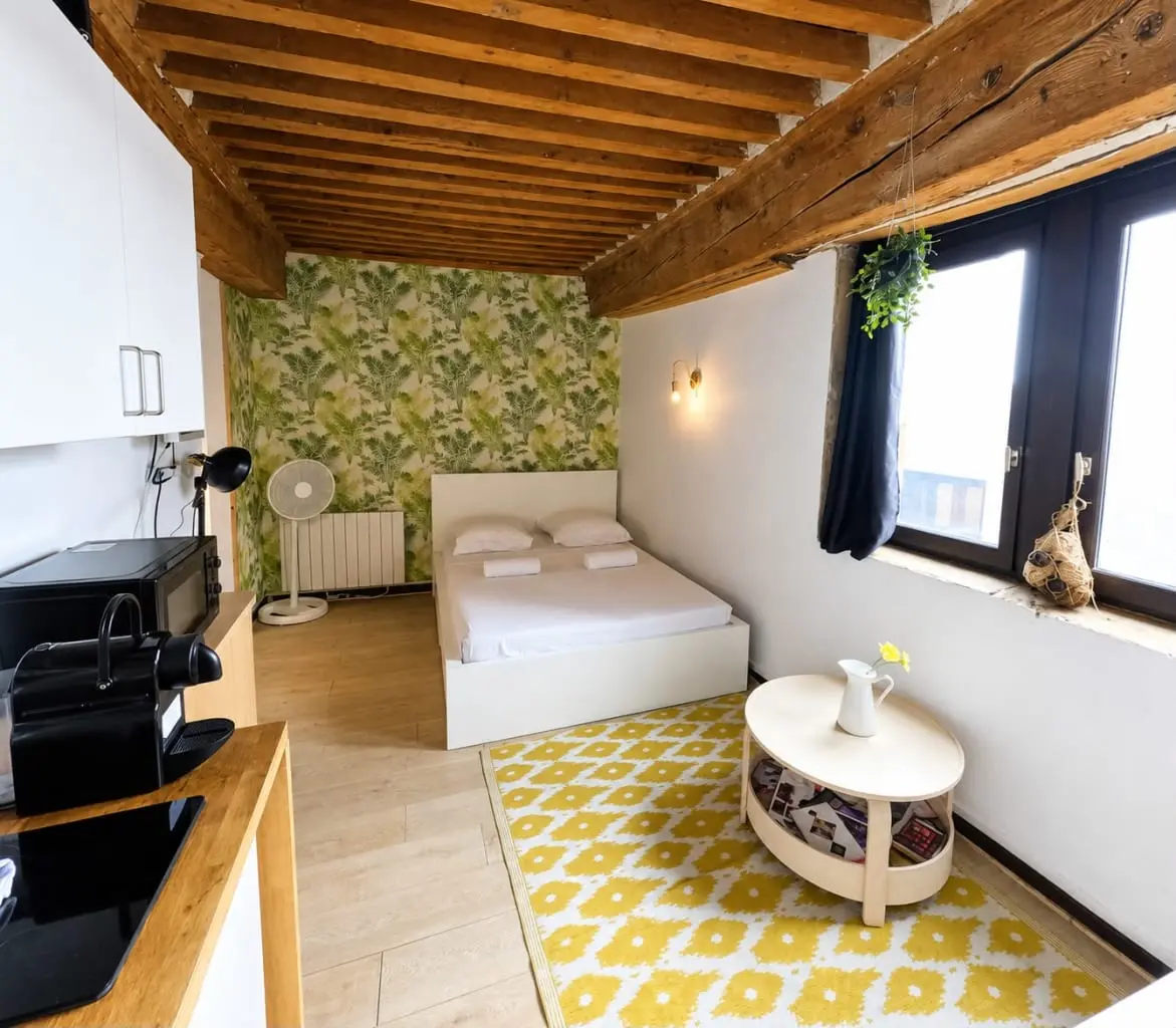 21 M² Estudio ∙ 1 Habitación ∙ 2 Huéspedes - Lyon