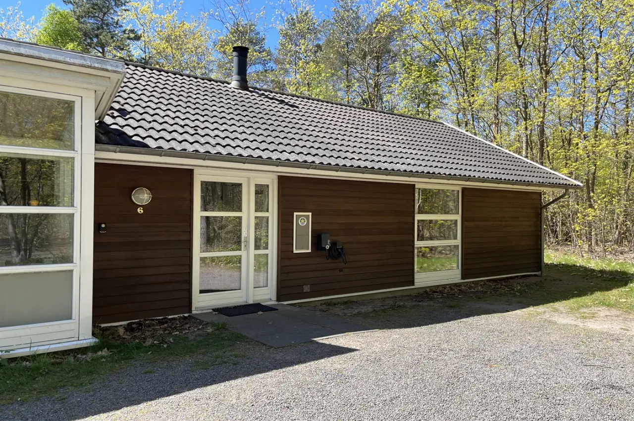 foto1