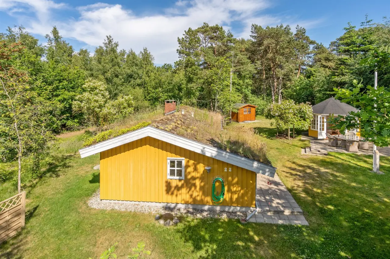 foto20