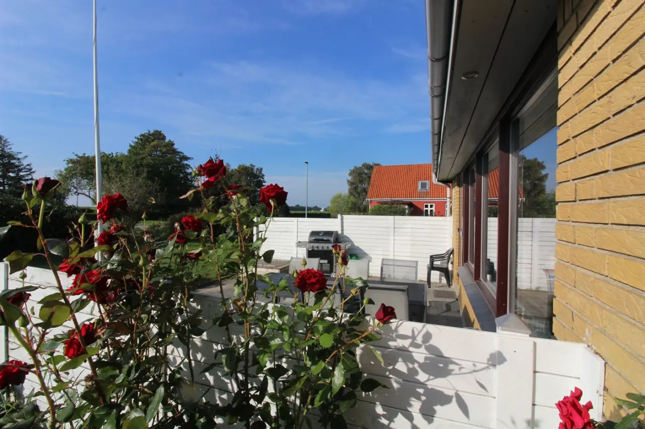 foto21