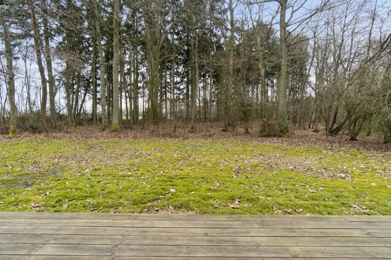 foto22