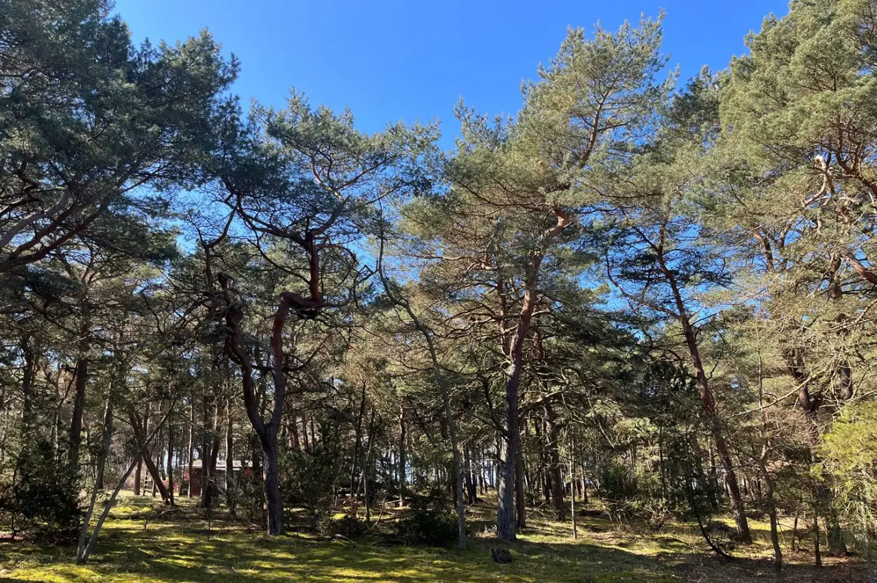 foto13