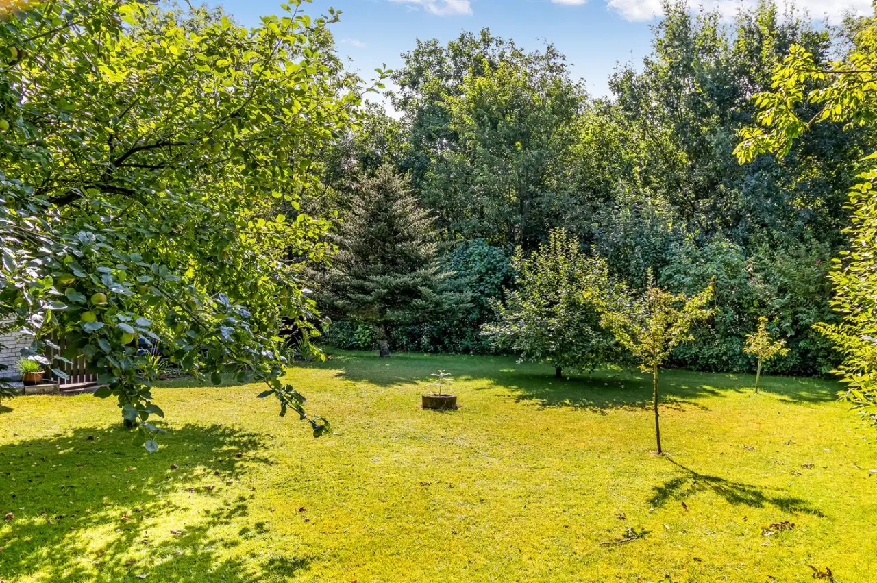 foto17