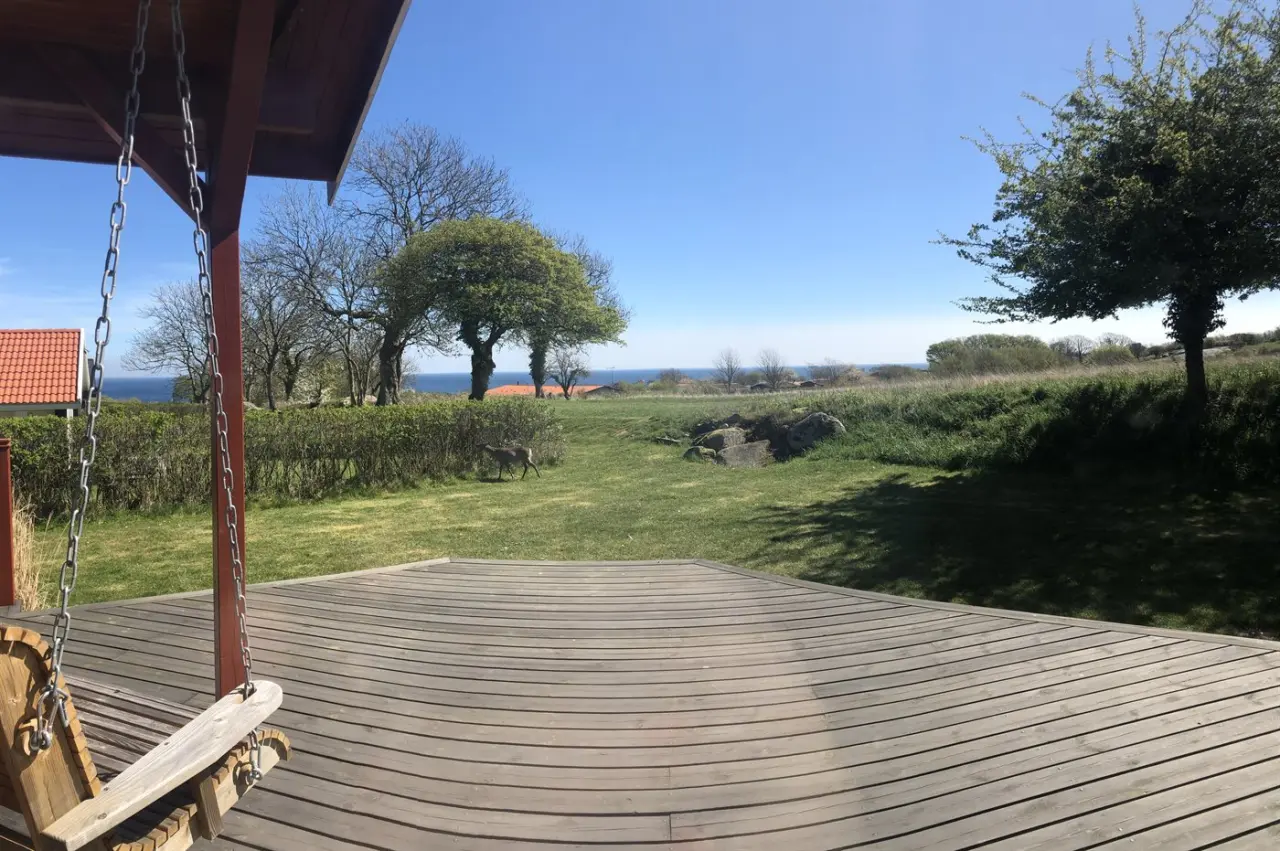 foto15