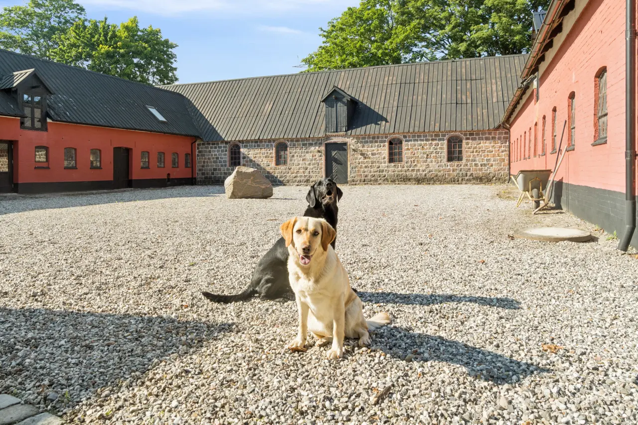 Lækkert hus med pool tæt på skønne Aarhus
