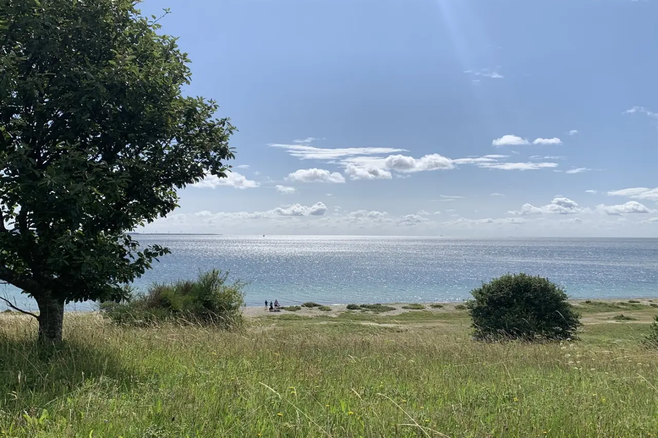 foto40