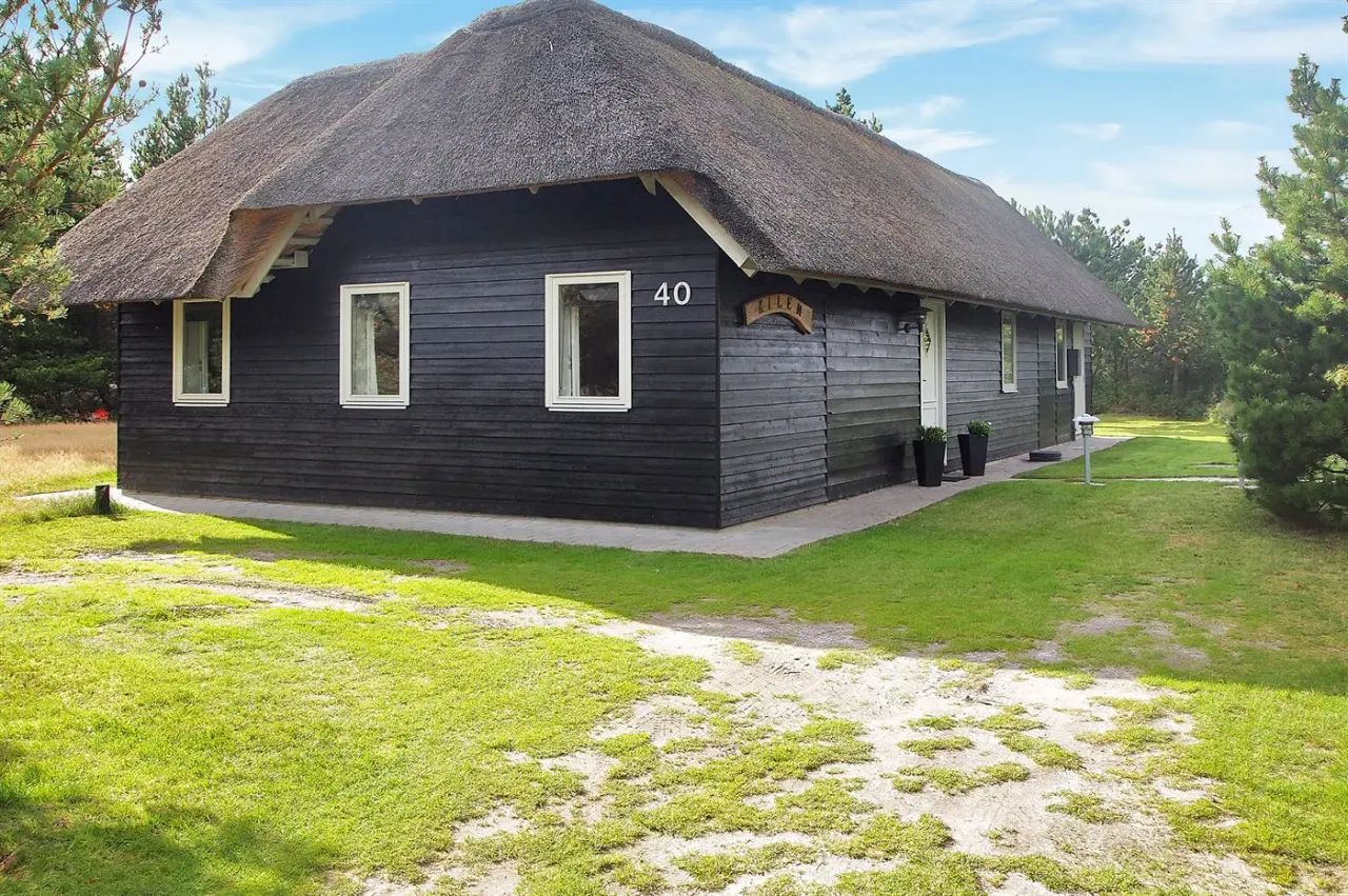 foto2