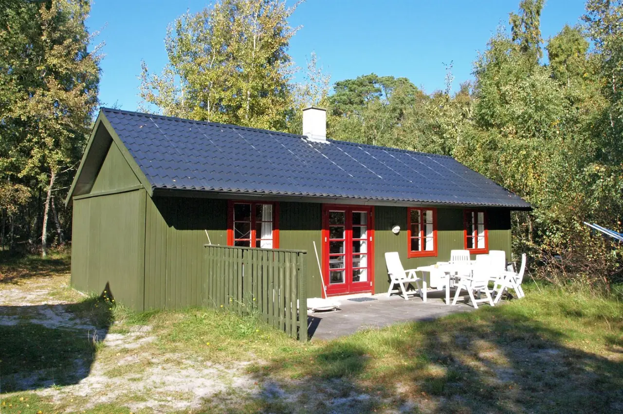 foto2