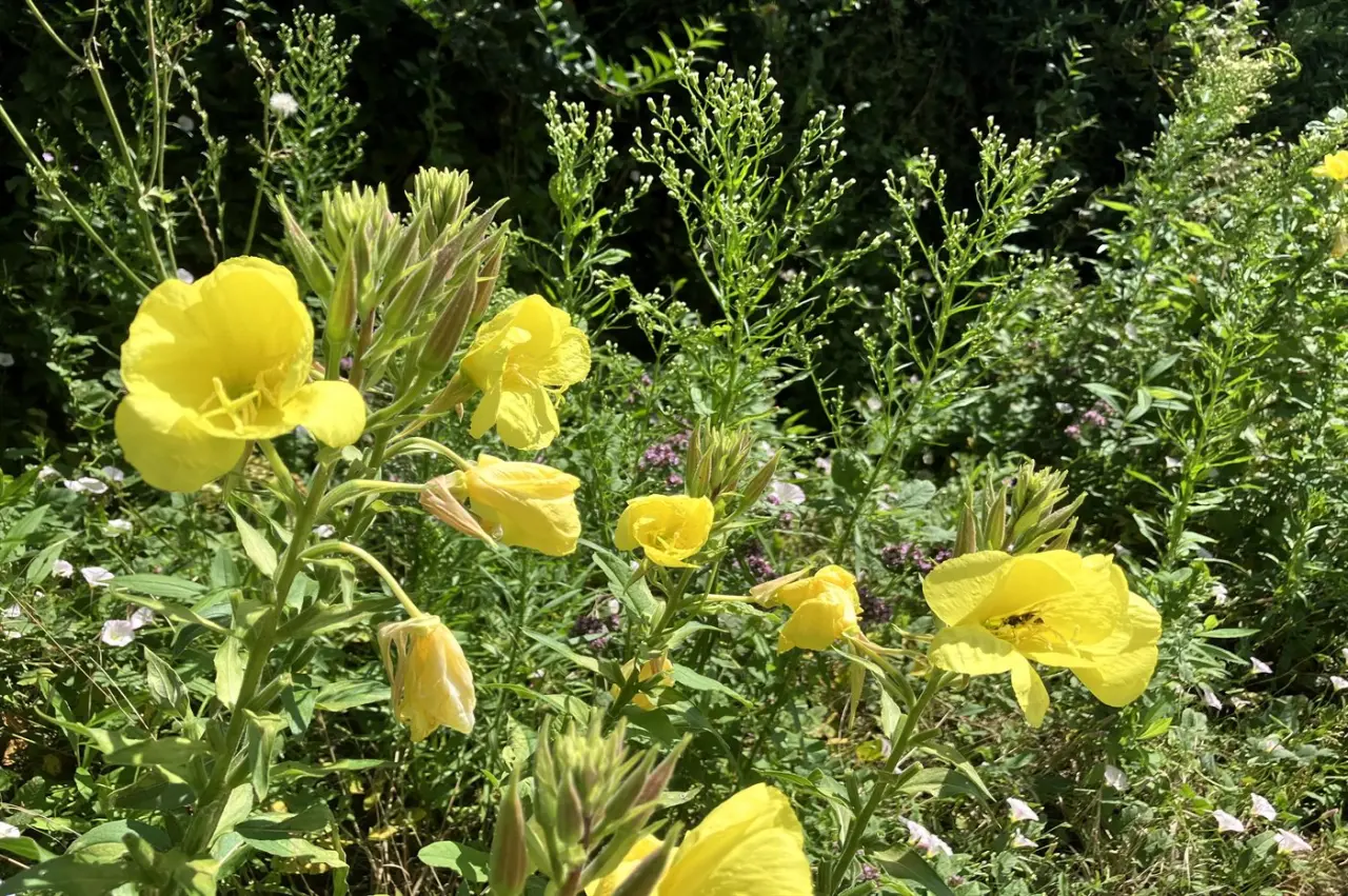 foto24