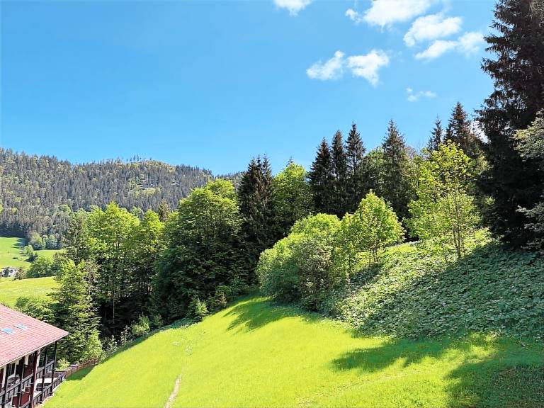Ferienwohnung Obersalzberg (DE Berchtesgaden) - Stecher Ulrike - 14129 — photo 4