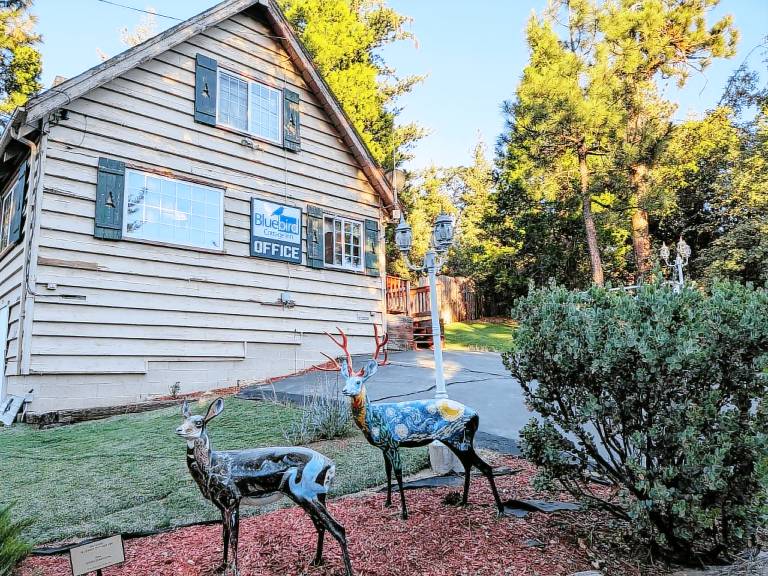 Bluebird Cottage Inn — photo 5