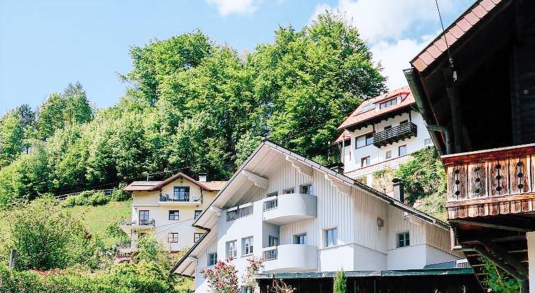 Ferienwohnung Traunsee