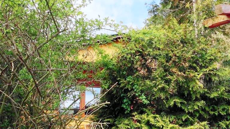 Ferienhaus  Querfurt