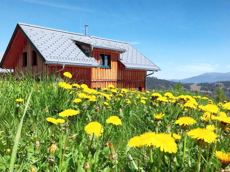 Holiday house Chalet Klippitzstern in Wolfsberg