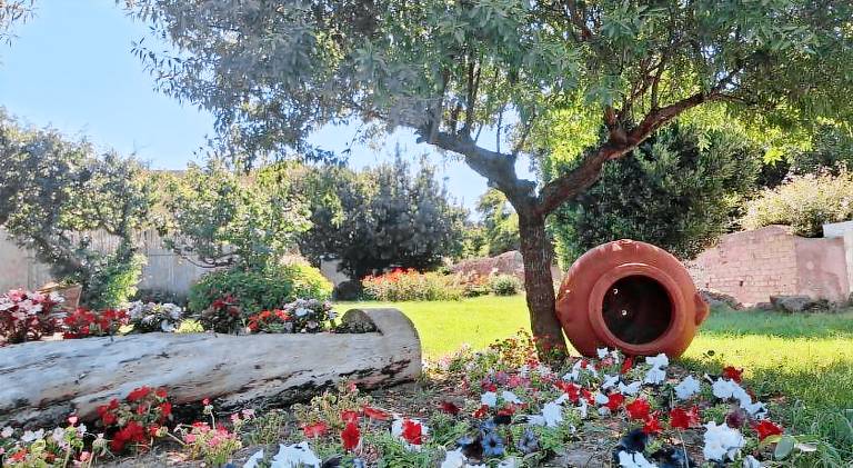 Hotel Lo Smeraldo - Oasi degli Olivi in Ventotene