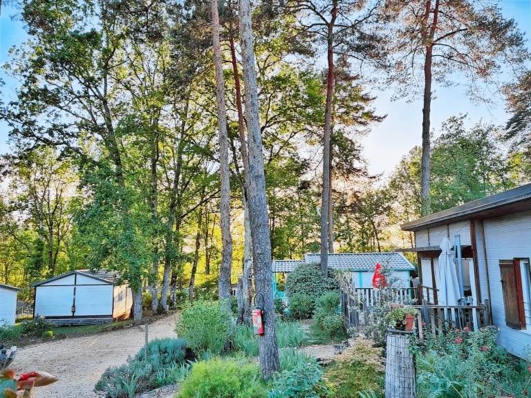 Family-oriented nice camping suite with heated pool | Pets are welcome — photo 3