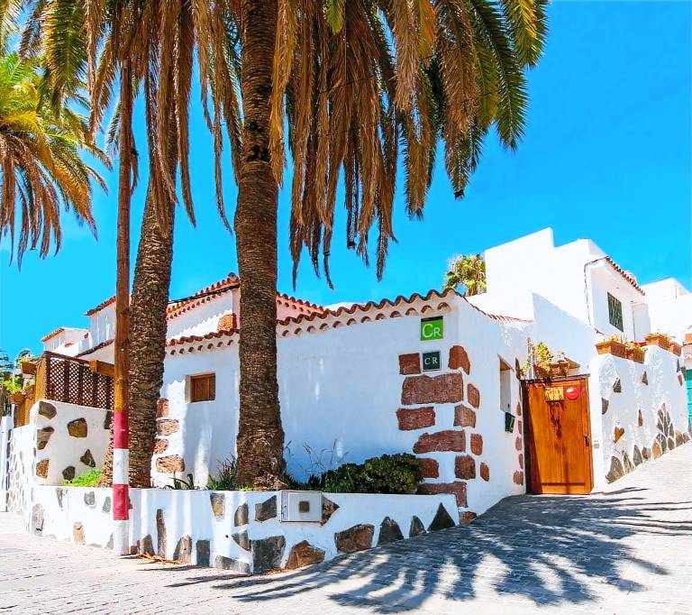 Ferienhaus mit Hund in La Sorrueda, Gran Canaria für max. 4 Personen