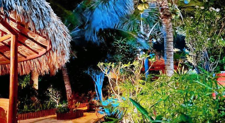 Casa do Jardim- Villa Botanica — photo 5