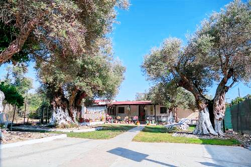 Διαμέρισμα  Paralia Dikellon
