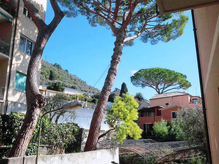 Appartamento  Pieve ligure
