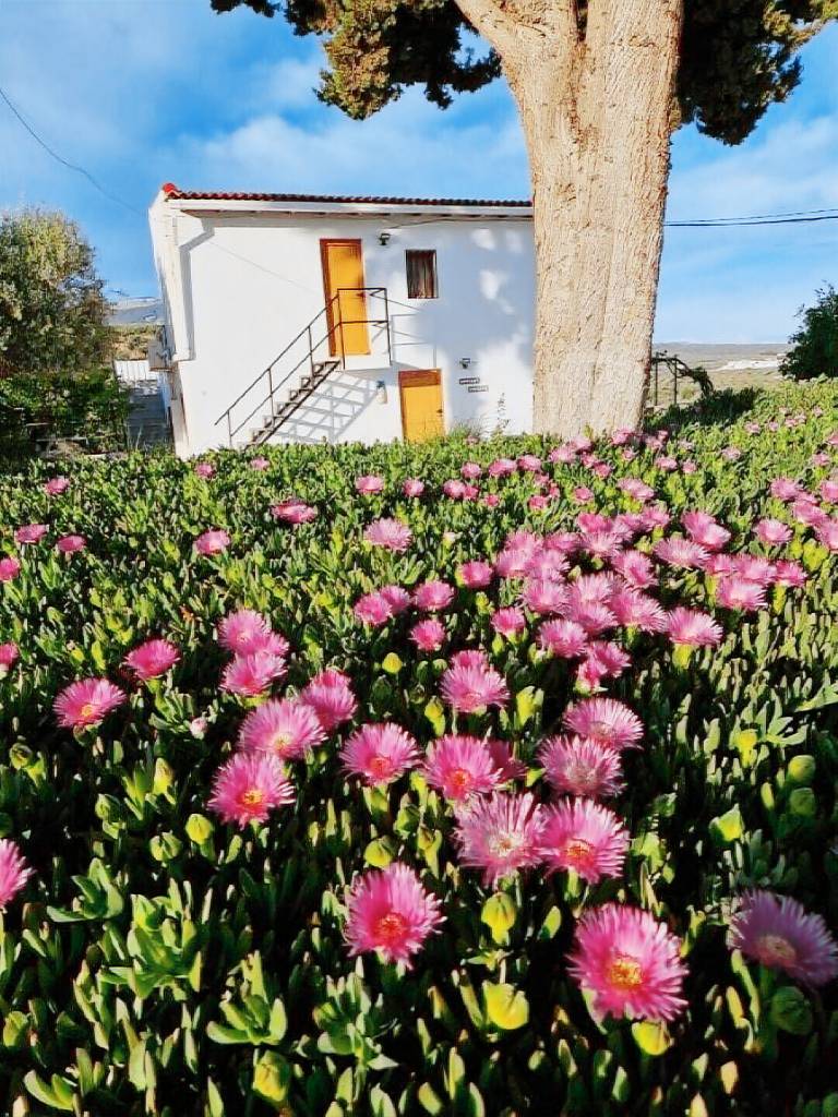 Casa Tocón