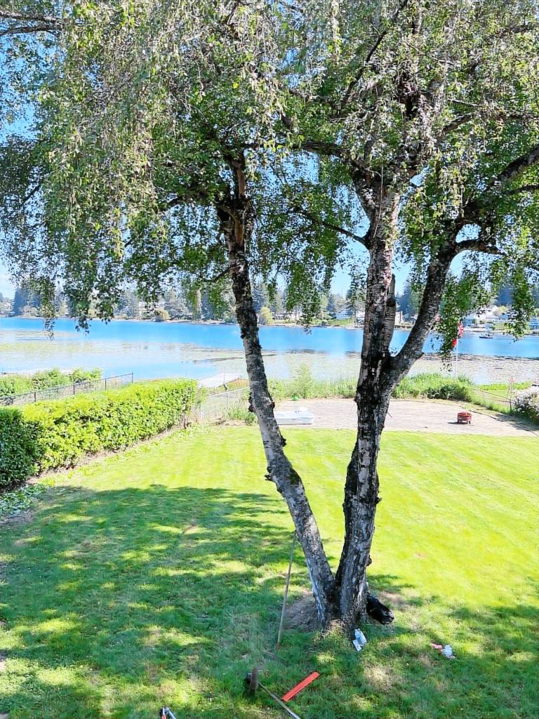House  Lynnwood