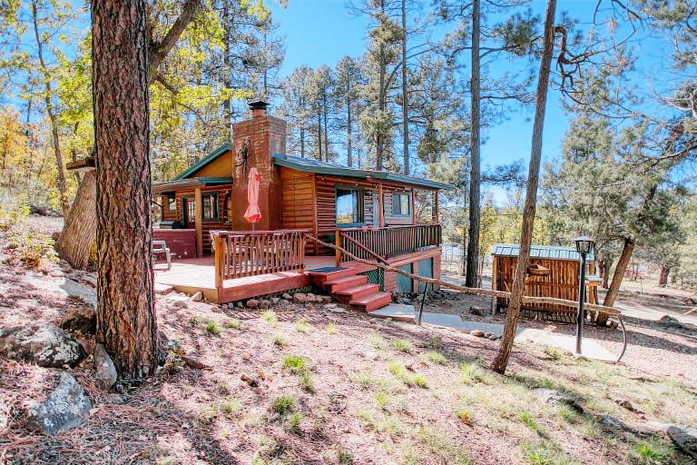 Cabin Pinetop