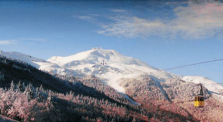 Residence Fontanelle — photo 2