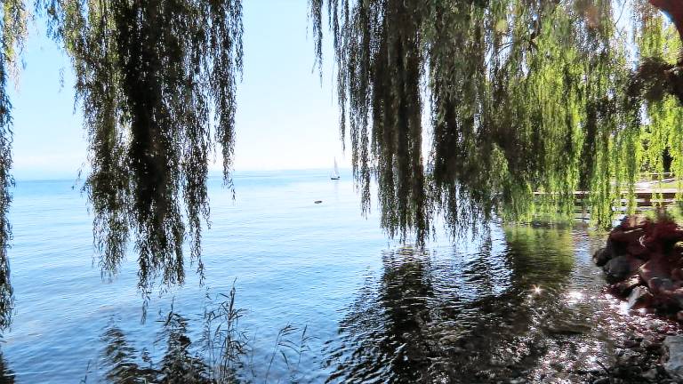 Ferienwohnung Immenstaad am Bodensee