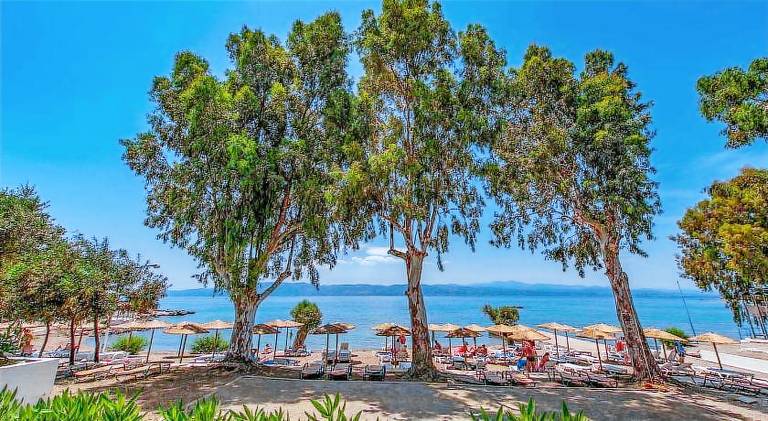 Amarynthos Resort — photo 5