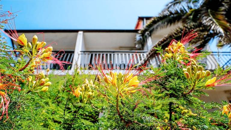 Rental apartment with patio, yard & grill — photo 4